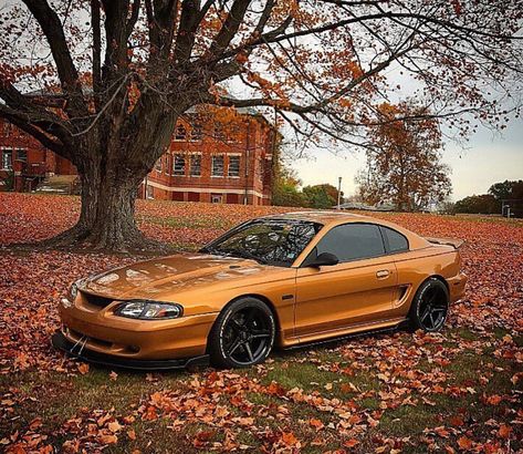 Mustang 1998 Mustang Gt, 96 Mustang Gt, 1994 Mustang Gt 5.0, 94-98 Mustang Gt, Sn95 Mustang Gt, 96 Mustang, 1998 Mustang, Mustang 1995, 1995 Ford Mustang Gt