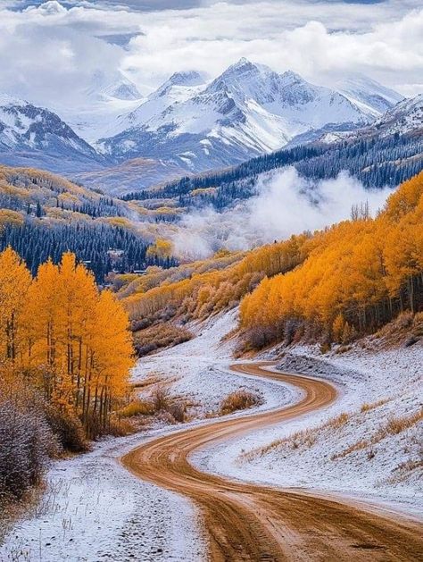 Pretty Landscape Pictures, Mountains In Autumn, Fall In The Mountains, Colorado Mountains Fall, Colorado Autumn, Rocky Mountains Autumn, Autumn Mountains, Colorado Lifestyle, Rocky Mountains Colorado