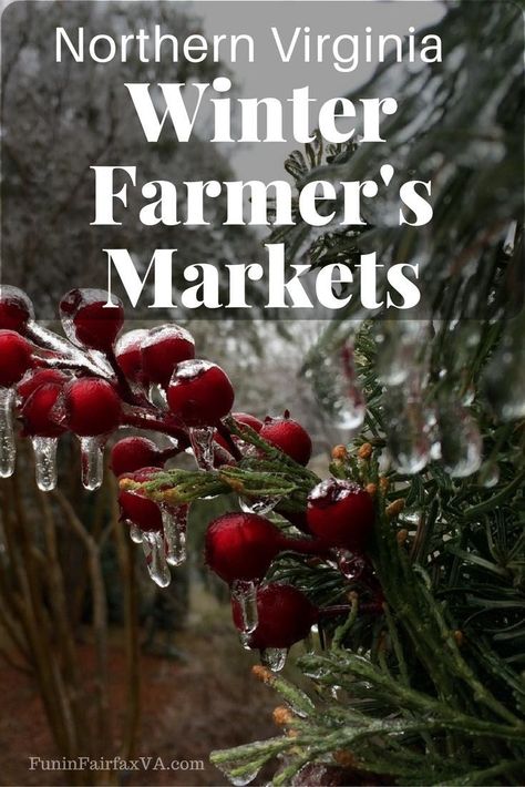 Find fresh produce, meats, specialty items, and other local goodies with out list of Northern Virginia winter farmers markets, and eat local all year long. Winter Farmers Market, Virginia Fall, Virginia Travel, Farmers Markets, Usa Travel Destinations, Northern Virginia, Eat Local, Scenic Drive, Shop Local