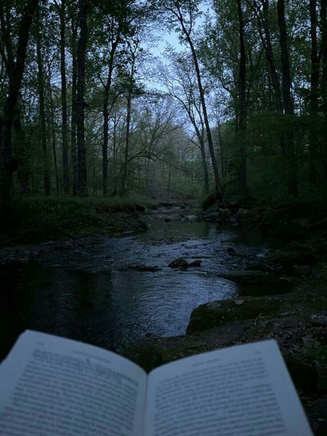 Russian Novels Aesthetic, Forest Spirit Aesthetic, Fyodor Dostoevsky Aesthetic, Dark River Aesthetic, Raskolnikov Aesthetic, Fyodor Dostoyevsky Aesthetic, Milena Core, Forest With Water, Dostoyevsky Aesthetic