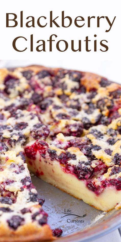 Easy Blackberry Clafoutis recipe is a classic French custard-based dessert that’s made with fresh seasonal berries. Blackberry Recipes Easy, Blackberry Dessert Recipes, Clafoutis Recipe, Blackberry Dessert, Clafoutis Recipes, Berry Dessert Recipes, Blackberry Recipes, Custard Desserts, Simple Dessert