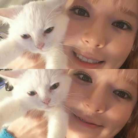 cute choa Choa Aoa, Lq Pfp, Korean Stuff, Pfp Icons, I Love Girls, Old School, Angel, Collage, Animals