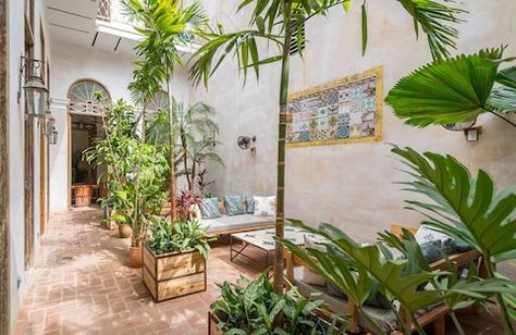 Best hotels in Havana | Travel Old Havana, Beautiful Patios, House Beds, Havana Cuba, After 3, Bedroom With Ensuite, Green Rooms, Beautiful Hotels, Front Room