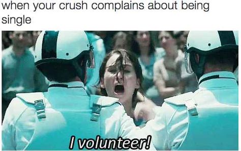 I volunteer as tribute!!! Funny Single, When Your Crush, Crush Humor, Single Humor, Super Funny Quotes, Single People, Relatable Posts, Being Single, Single Quotes