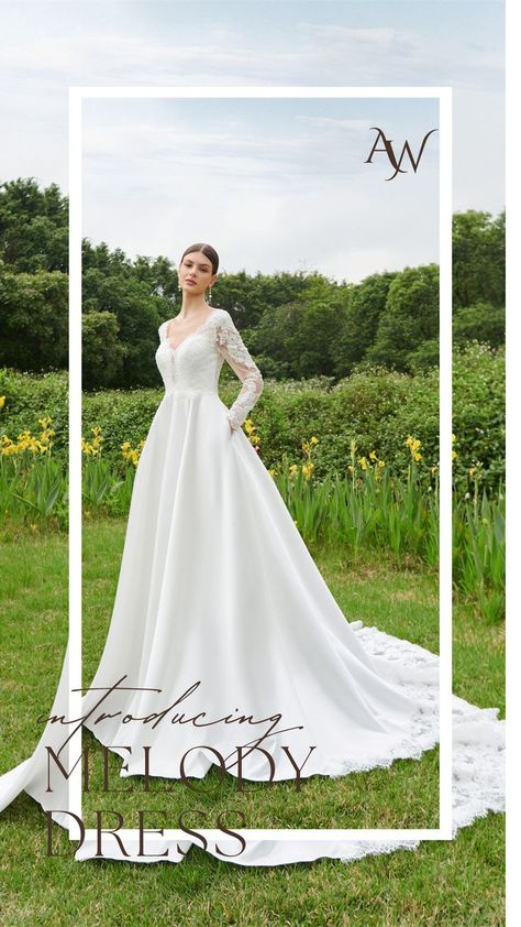 Aviation Themed Wedding, Wedding Dresses With Long Sleeves, Plus Size Modest, Dress Types, Inexpensive Wedding Dresses, Dresses With Long Sleeves, Dress For Your Body Type, Wedding Dress Bustle, Themed Wedding Ideas