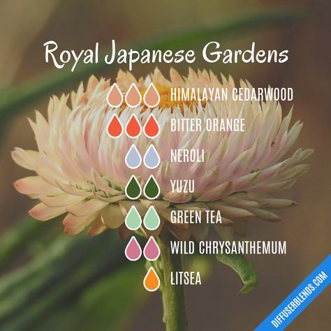 Royal Japanese Gardens Diy Body Spray, Essential Oil Blends Roller, Homemade Perfume, Essential Oil Combinations, List Of Essential Oils, Aromatherapy Recipes, Perfume Recipes, Essential Oil Diffuser Blends Recipes, Diy Perfume