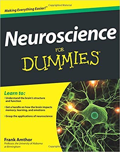 Best Books For Men, Math Homework Help, Dummies Book, Brain Structure, Fun Math Games, Math Methods, For Dummies, Mental Math, Mental Disorders