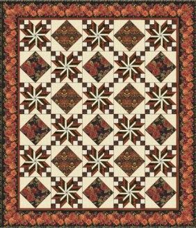 Amish Quilt Patterns, Amish Quilt, Quilt Display, Quilting Designs Patterns, Timeless Treasures Fabric, Quilt Care, Flower Quilt, Fall Quilts, Quilt Design