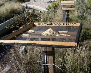 Birdseed Feeders, Platform Bird Feeder, Bird Feeder Station, Bird Feeder Plans, Homemade Bird Houses, Window Bird Feeder, Small Fence, Diy Bird Bath, Bird House Kits