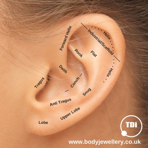 Names Of Ear Piercings, Piercings On Ear, Piercing Placement Chart, A Lot Of Piercings, Ear Piercings Placement Chart, Piercing Placement, Ear Piercing Names, Piercings Chart, Ear Piercings Chart