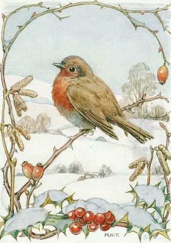 Margaret Tarrant, Images Noêl Vintages, Robin Redbreast, Christmas Bird, Dessin Adorable, Bird Drawings, Art And Illustration, Bird Illustration, Christmas Paintings