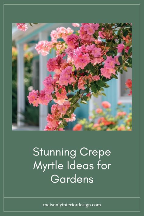 Explore creative ideas for using crepe myrtle in your garden to enhance visual beauty throughout the seasons. These colorful trees offer more than just a lovely view; they provide vibrant shades of pink, purple, and white flowers that bloom during summer. Learn how to integrate these beauties into your landscape with arrangement tips and design inspiration for front yards, backyards, and patios. Discover practical care and maintenance advice so your crepe myrtles flourish, making your outdoor space a true focal point of year-round enjoyment. Crepe Myrtle Landscaping, Crepe Myrtles, Crepe Myrtle Trees, Myrtle Tree, Purple And White Flowers, Balcony Bar, Porch Windows, Ideas For Gardens, Crepe Myrtle