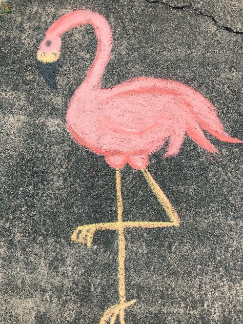 Sidewalk Chalk Animals, Flamingo Chalk Art, Chalk Art Animals, Animal Chalk Art, Chalk Animals, Chalk Artwork, Zoo Boo, Sidewalk Chalk Art, North Country