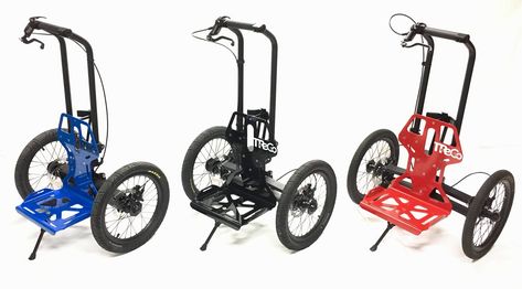 Custom Electric Bike, Bike With Sidecar, Bicycle Sidecar, 3 Wheel Motorcycle, Three Wheel Bicycle, Bike Trailers, Trike Bicycle, Electric Cargo Bike, Custom Trikes