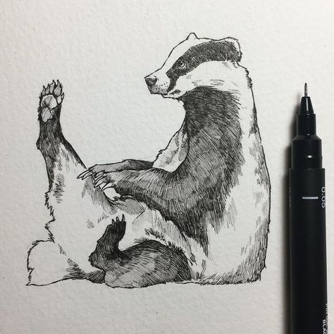 Above And Below Water, Badger Illustration, 1 Tattoo, Wildlife Artists, Ink Drawings, Animals Artwork, Animal Sketches, Ink Illustrations, Wildlife Art