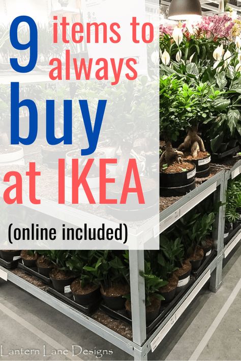 Ikea Knick Knacks, Chilistran Ikea, Must Have Ikea Items, Ikea Shelving Ideas, Ikea Frebro, Top Ikea Must Haves, Ikea Must Haves Organizers, Ikea Best Buys, Decorating With Ikea