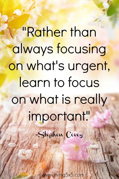 Inspirational Quote of the Week - Rather than always focusing on what's urgent, learn to focus on what is really important. -Stephen Covey Covey Quotes, Stephen Covey Quotes, Good Quotes, Stephen Covey, Quote Of The Week, Quotes Thoughts, Amy Poehler, Trendy Quotes, Leadership Quotes