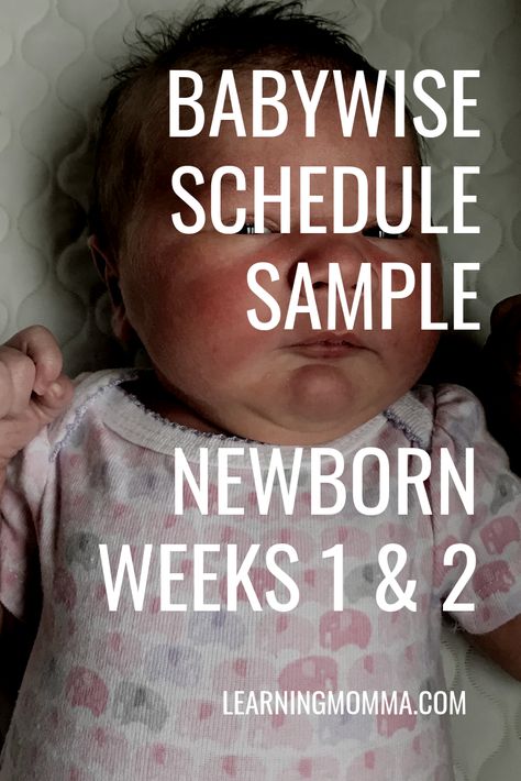 Quotes Newborn, Feeding Newborn, Babywise Schedule, Lamaze Classes, Baby Wise, Baby Sleep Training, Newborn Schedule, Diaper Bag Essentials, Newborn Tips