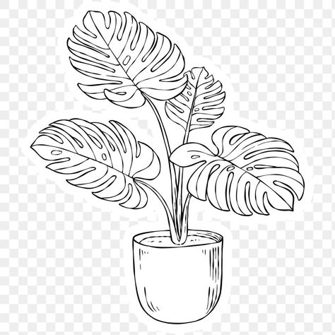 Potted Monstera Tattoo, Black And White Plant Drawings, Monstera Plant Tattoo Simple, Monstera Plant Drawing Simple, Plant Illustration Black And White, Monstera Plant Sketch, Plant Drawings Simple, Monstera Plant Drawing, Plants Black And White