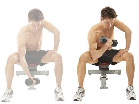 Dumbell Concentration Exercises Arm Exercises With Weights, Upper Body Dumbbell Workout, Hockey Workouts, Body Weight Squat, Best Leg Workout, Squats And Lunges, Build Muscle Fast, Hockey Training, Body Weight Leg Workout