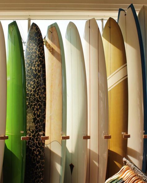 Mollusk Surf Shop on Instagram: “Who loves the sun?” Planet Surf, Surf Rack, Mollusk Surf, Surf Shop, Beach Club, Surfboard, The Sun, Surfing, Sun