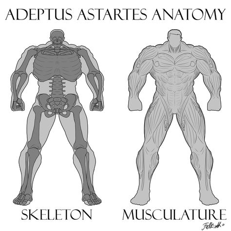 ArtStation - Adeptus Astartes - Space Marine Anatomy - Skeleton & Musculature, FALKIRTH WARHAMMER 40000 CONCEPT ARTS Space Marine Art, Warhammer 40k Figures, Adeptus Astartes, Military Armor, Warhammer 40k Art, Warhammer Art, Warhammer 40k Artwork, Dungeons And Dragons Homebrew, Character Poses