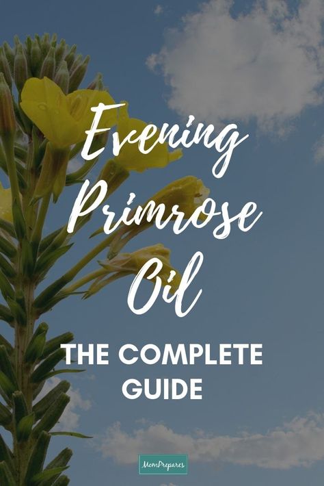 Evening primrose oil seems like a magic capsule for good health. But that may not always be the case. Learn about the uses, health benefits and side effects of this oil (based on research). via @momprepares Health Benefits Of Evening Primrose Oil, Evening Primrose Oil Benefits Hormones, Evening Primrose Oil Benefits Skin, Primrose Evening Oil Benefits, Primrose Benefits, Evening Primrose Oil Dosage, Evening Primrose Benefits, Prim Rose Oil Benefits, Evening Primrose Supplement