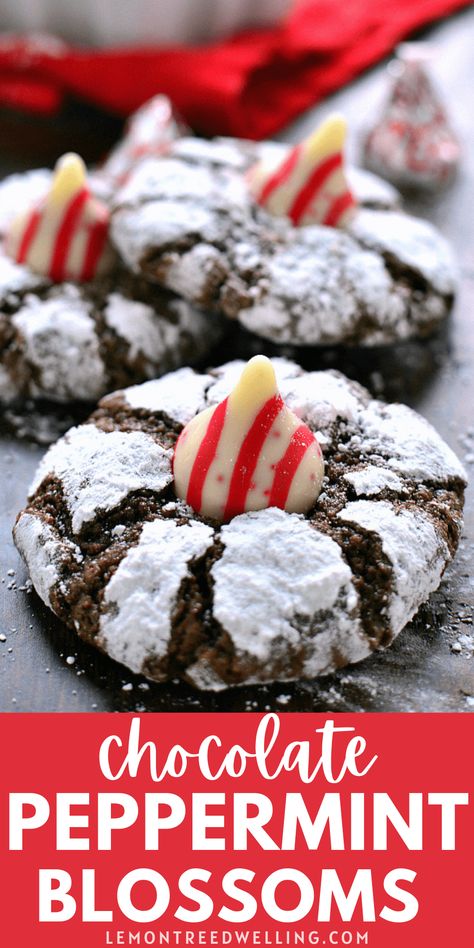 Peppermint Blossoms, Kiss Cookie Recipe, Mint And Chocolate, Easy To Make Cookies, Chocolate Crinkle, Kiss Cookies, Blossom Cookies, Chocolate Crinkles, Peppermint Cookies