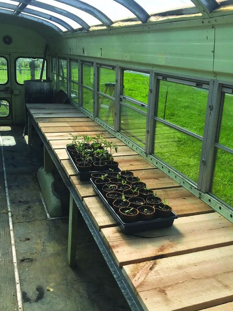 Junked School Bus Turned Into Greenhouse School Bus Greenhouse, Bus Greenhouse, Commune Ideas, Short Skoolie, Craft Sheds, Plant Truck, Short Bus Conversion, Bio Dome, Dream Home Farmhouse