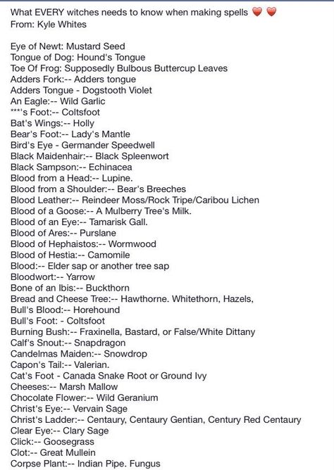 Powerful Witch Names, Witches Ingredients List, Common Spell Ingredients, Witch Names For Herbs, Witchy Names Mystic, Witch Coven Names, Witch Ingredient List, Mystical Last Names, Potion Ingredients List