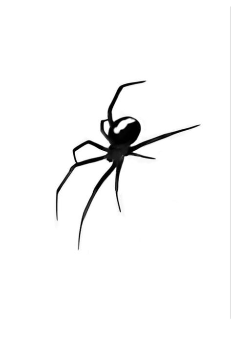 Black Widow Spider Tattoo, Widow Tattoo, Black Widow Tattoo, Tattoo Leg, Insect Tattoo, Black Widow Spider, Gym Guys, Spider Tattoo, Tattoo Art Drawings