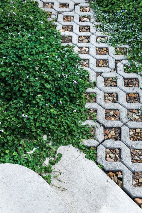 The Next Chapter | Green Magazine Green Driveway Ideas, Mulch Walkway, Grass Pavers Walkway, Garden Driveway, Green Driveway, Grass Block, Turf Pavers Driveway, Grass Crete Driveway, Grass And Concrete Squares