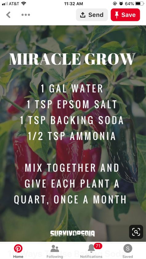 Miracle Grow, Organic Vegetable Garden, Urban Gardening, Homestead Survival, Home Vegetable Garden, Garden Yard Ideas, Organic Vegetables, Veggie Garden, Lawn And Garden