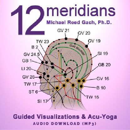 12 Meridians, Marma Points, Acupressure Chart, Meridian Acupuncture, Tcm Traditional Chinese Medicine, Ear Reflexology, Pressure Point Therapy, Acupressure Therapy, Guided Visualization