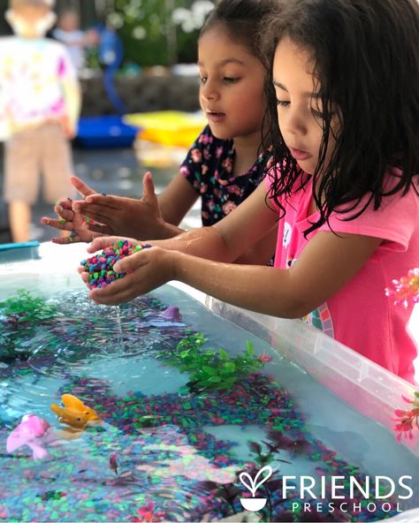 Feeling so exciiiiiiited about the amount of people who have been tagging me in their own aquarium-inspired sensory tables after sharing ours. . You guuuuuys! (👈🏼to be read in a Phoebe Buffay voice.) . You all are “o-fish-ally” my favorite! . #amomentwithfriends #smallworld #sensory #sensoryplay #play #fish #aquarium #ocean #sea #water #waterplay #science #art #beattheheat #itsasmallworld #playmatters #preschool #prek #teacher #artteacher #preschoolteacher #prekteacher #friendsartlab #... Aquarium For Kids, Table Aquarium, Sensory Tables, Sea Aquarium, Prek Teacher, O Fish Ally, Sensory Table, Water Table, Phoebe Buffay