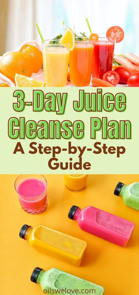 Juice Cleanse Plan, 3 Day Juice Cleanse, Healthy Juicer Recipes, Detox Juice Cleanse, Juice Cleanse Recipes, Detox Juice Recipes, Cleanse Diet, Juicer Recipes, Juice Diet