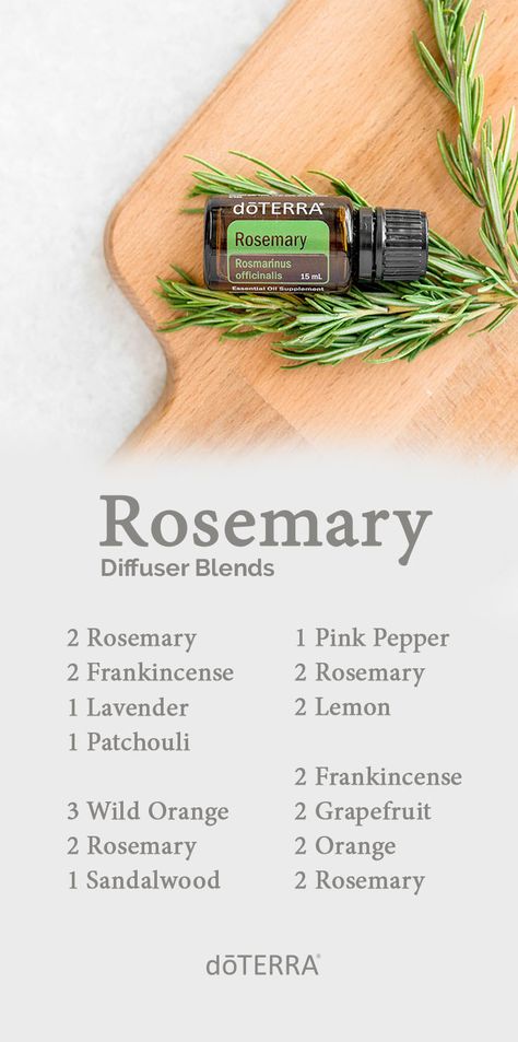 The chemical makeup of Rosemary essential oil gives it renewing properties that can be both energizing and settling, particularly when you diffuse it. Try diffusing one of these Rosemary oil blends. Rosemary Essential Oil Blends, Rosemary Diffuser Blends, Doterra Rosemary, Doterra Diffuser, Doterra Diffuser Blends, Rosemary Essential Oil, Doterra Essential Oils Recipes, Essential Oil Diffuser Blends Recipes, Oils For Sleep