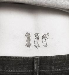 11 Best Sasha tattoos images in 2022 Wiener Dog Tattoo, Daschund Tattoo, Dogs Tattoo Ideas, Barbie Dog, Dogs Tattoo, Stick Tattoo, Dog Cuddles, Hidden Tattoos, Disabled Dog