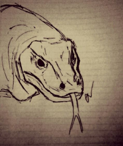 The komodo dragon Komodo Dragon Sketch, Komodo Dragon Tattoo, Komodo Dragon Drawing, Komodo Dragon Art, Comodo Dragon, Nature Sketches, Animal Drawings Sketches, Dragon Sketch, Komodo Dragon