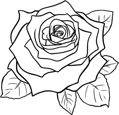 Rosé Cartoon, Rose Outline, Rose Coloring Pages, Rose Clipart, Simple Rose, Rose Images, Rose Drawing, Roses Drawing, Black And White Flowers