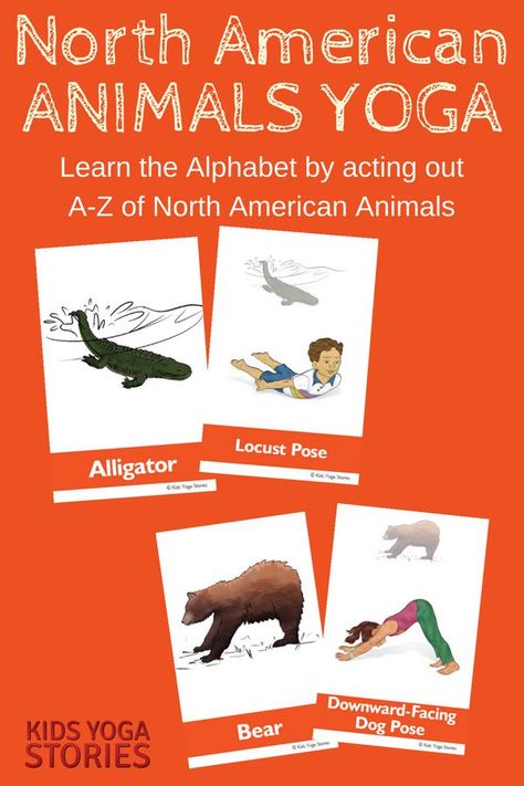 North American Animals Alphabet Yoga - learn the alphabet by acting out the A to Z of North American animals | Kids Yoga Stories Alphabet Yoga, Animal Yoga Poses, Kid Yoga Lesson Plans, Daycare Themes, Yoga Lesson Plans, Animals Alphabet, North American Animals, Animal Yoga, Kids Alphabet