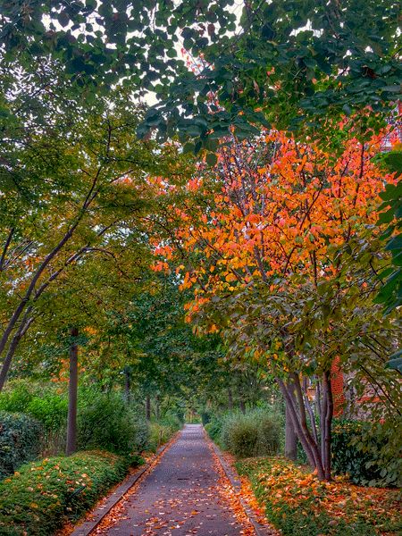 The Promenade Plantée Paris – the most unusual park in the city Paris Sidewalk, Paris Parks, Promenade Plantée, Highline Park, Villages Nature Paris, Passage Verdeau Paris, Promenade Plantée Paris, French Architecture, Paris Pictures