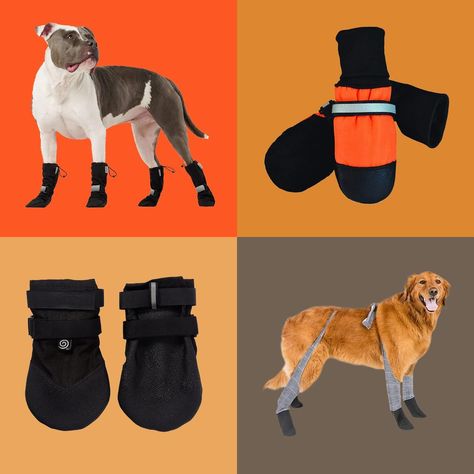 The 6 Best Dog Winter Boots, According to Our Pet Expert Dog Winter Boots, New Puppy Checklist, Boots For Winter, Dog Winter, Dog Boots, Boots Patterns, Winter Gear, Winter Dog, Winter 2022