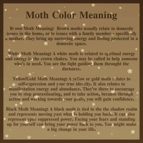 Moth Meaning, Moth Symbolism, Brown Moth, Animal Meanings, Manifesting Vision Board, Spiritual Animal, Witchcraft Spell Books, Animal Symbolism, Witchcraft For Beginners