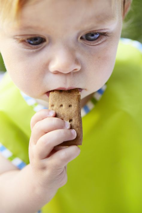 THE Teething Cookie from weelicious.com Cookies For Babies, Teething Cookies, Teething Biscuits, Weaning Foods, Led Weaning Recipes, Peanut Butter Roll, Baby Led Weaning Recipes, Weaning Recipes, Toddler Recipes