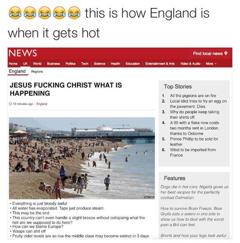 British Humour, British Memes, British Things, Todays Weather, British Humor, Dog Died, London Today, Memes Humor, Tumblr Funny