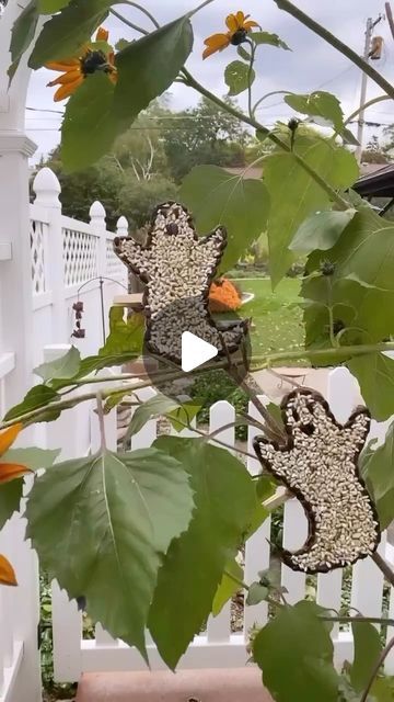 Tara Rondinelli on Instagram: "These ghost bird feeders are so easy to make and look so soooo cute in the yard 👻  They are the perfect fall craft that you and the birds will love! 

#diybirdfeeder #ghostcraft #halloweencrafts #naturecrafts #thatsgoodhousekeeping #fallcrafts #autumnvibes #cottagecore #kidscrafts #ecofriendly  #ecofriendlycrafts" Ghost Bird, Ecofriendly Crafts, Ghost Crafts, Diy Bird Feeder, Fall Craft, Nature Crafts, The Birds, Fall Crafts, Fall Vibes