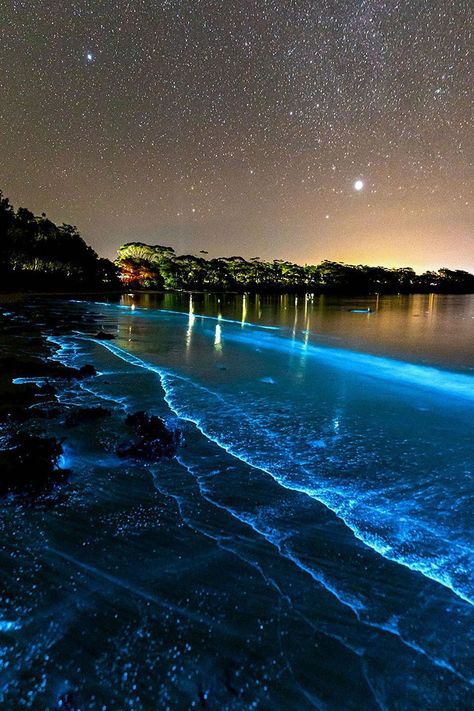 Glowing Beaches, Bioluminescent Algae, Moana Aesthetic, Night Landscape Photography, Sea Of Stars, Beautiful Wallpapers For Iphone, Night Scenery, Night Landscape, Pretty Landscapes