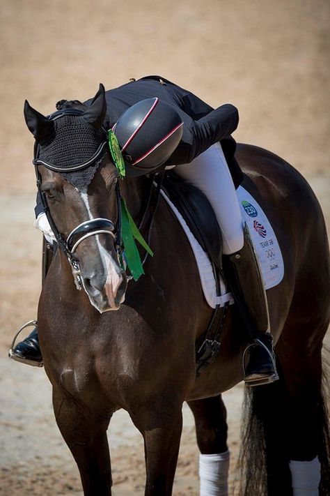 Dressage Horses Photography, Dressage Photography, Aesthetic Equestrian, Charlotte Dujardin, Dressage Competition, Dutch Warmblood, Horse Riding Aesthetic, Equestrian Outfit, Horse Competition