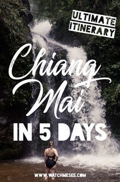 Chiang Mai is one of those must see places in Thailand, but how much time should you spend here? Find out in this Chiang Mai itinerary for 5 days! Places In Thailand, Thailand Destinations, Thailand Travel Destinations, Thailand Honeymoon, Itinerary Ideas, Thailand Itinerary, Thailand Vacation, Thailand Adventure, Thailand Trip